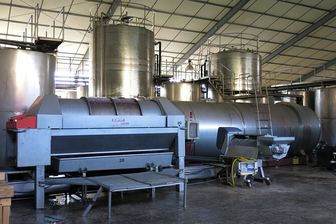 Wine tasting and winery tour at Fikardos Winery - A family member explains the wine process