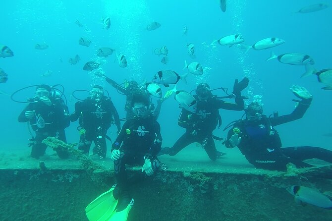 World-Class Zenobia Wreck Dive in Cyprus x 2 dives - First descent: exploring the Zenobia stern