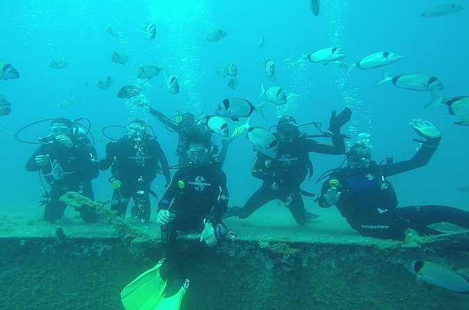 World-Class Zenobia Wreck Dive in Cyprus x 2 dives - The 90-minute break between sessions
