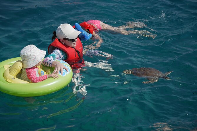 Yellow Boat Cruises: Afternoon Family Blue Lagoon & Turtle Cruise - A three-hour coastal escape from Protaras