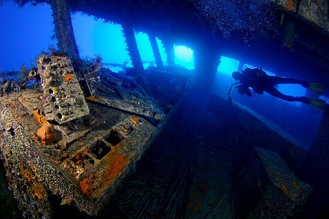 Zenobia Shipwreck Scuba Diving Trip 2x Dives - Key points before you book